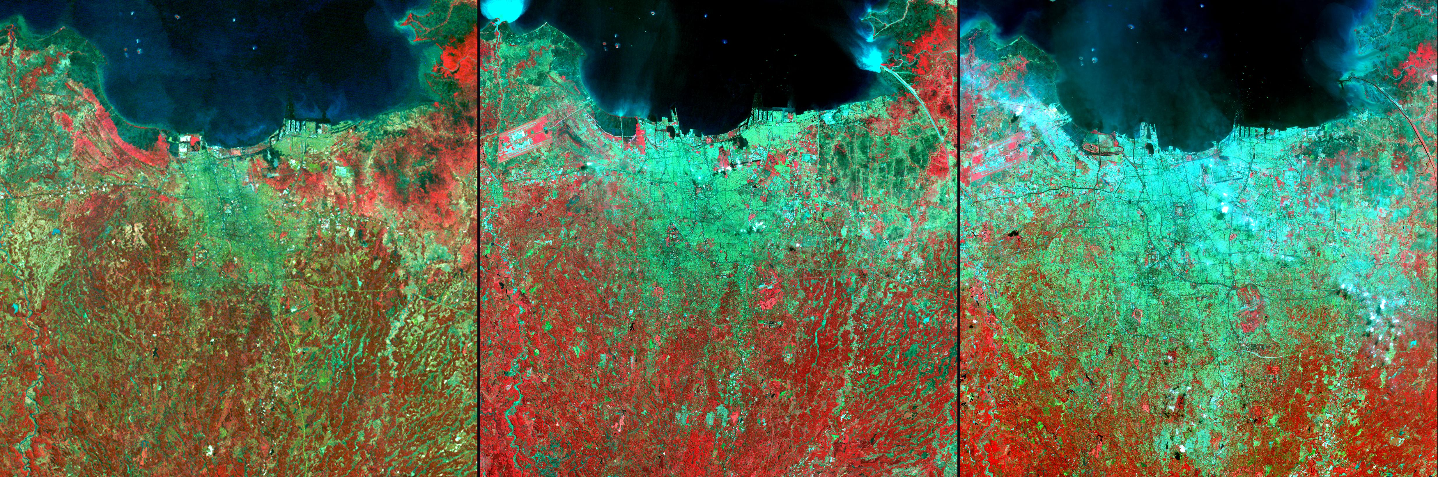 Поменяться участками. Фото человека со спутника. Фото со спутника 2004 года. Кадры со спутника людей. Последнее фото на земле.