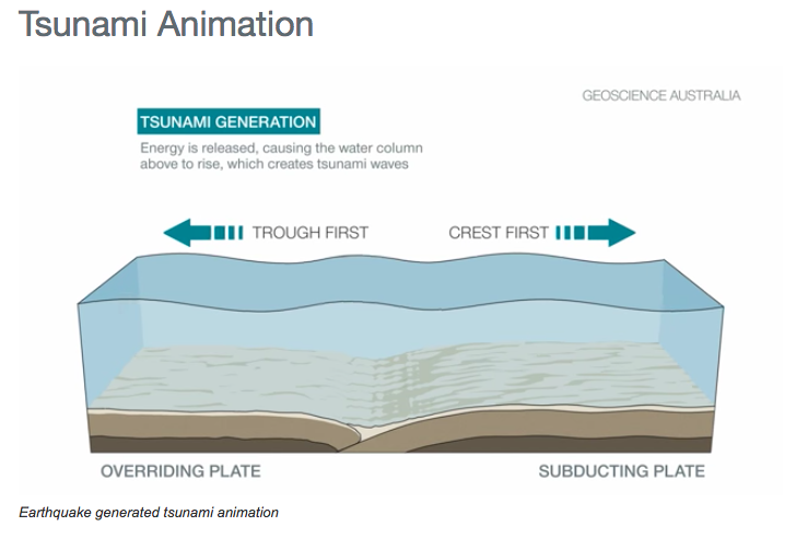 tsunami diagram